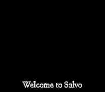 Salvo