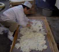 nagaragawa.co.jp Samasi