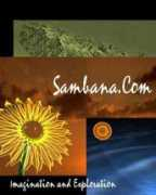 sambana.com Sambana