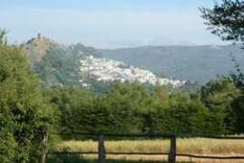 riding-vacations.info Sambana