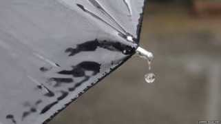 bbc.co.uk Sambid