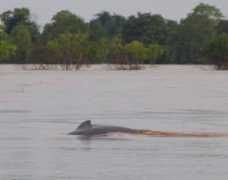 cambodia.mellenthin.de Sambok