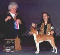 newworldbasenjis.net Sambos