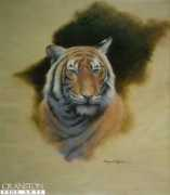 Sameena