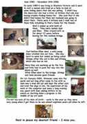 caninediabetes.org Samelle