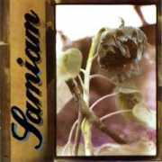Samiam