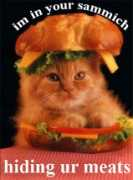 erroraccessdenied.com Sammich