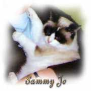 Sammyjo