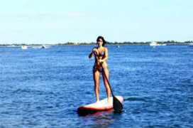 standuppaddlesurfer.com Samols