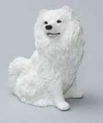 Samoyed