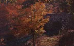 mtholyoke.edu Sampia