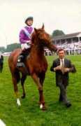thejoyofhorses.com Samraan