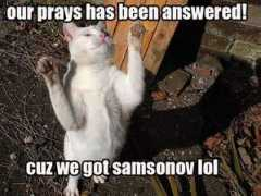 litterboxcats.com Samsonov