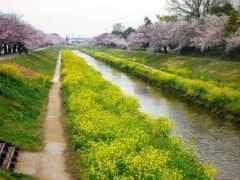 hsk.ecnet.jp Sanagawa