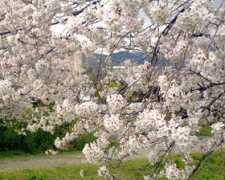 itouhideaki.com Sanagawa