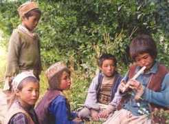 kabulnath.de Sanaie