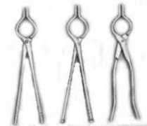 shreejiindia.com Sanasi