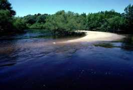 schools.bcsd.com Sandbar