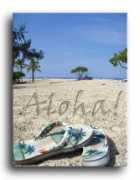 condoinhawaii.com Sandels