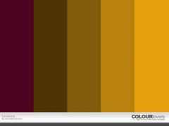 colourlovers.com Sanderella