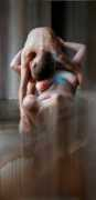 escapeintolife.com Sandorfi