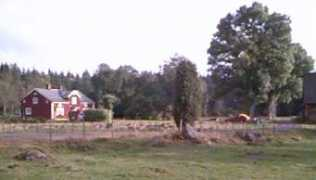 homepages.rootsweb.ancestry.com Sandrell