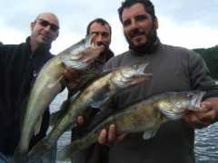 peche-authentique-cantal.com Sandres