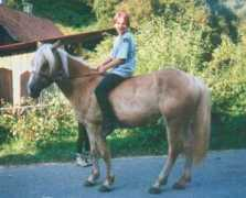 its-hildbrand.de Sandrin