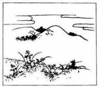 Sanekata