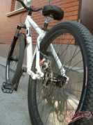 Sanev