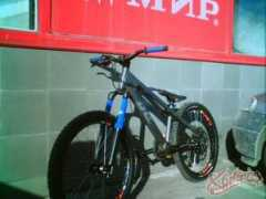 Sanev