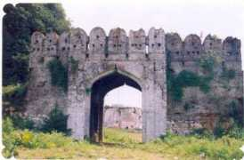 bhandara.gov.in Sangadi
