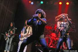 exporockmusic.com Sangreazul