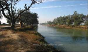 punjab-state.com Sangrur