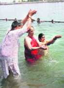 tribuneindia.com Sanhit