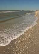traveleredge.com Sanibel