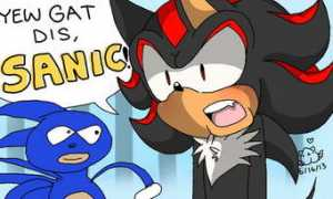 Sanic