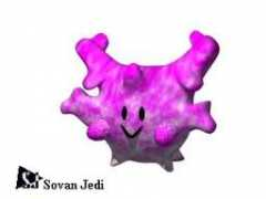 pokemon-paradijs.com Sanigo