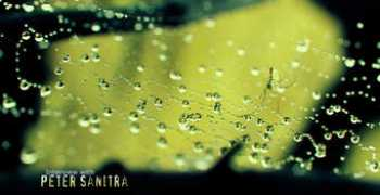 3dm3.com Sanitra