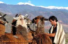 caravanadellamas.com.ar Sanjas