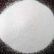 tradeindia.com Sanjivani