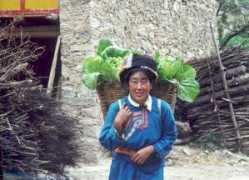 ourfolk.net Sanlong
