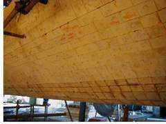 merkleengineers.com Sanose