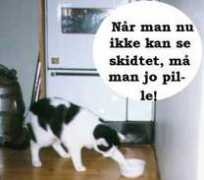 bluewhite.dk Sanser