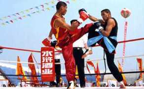 kung-fu.se Sanshou