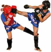 kung-fu.se Sanshou