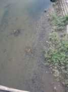 23hq.com Sansia