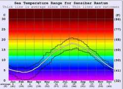 surf-forecast.com Sansibar