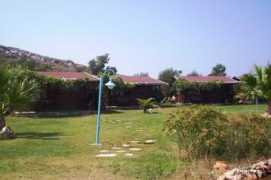 Sansina