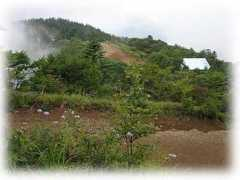 gurume-massyu.com Sansoun